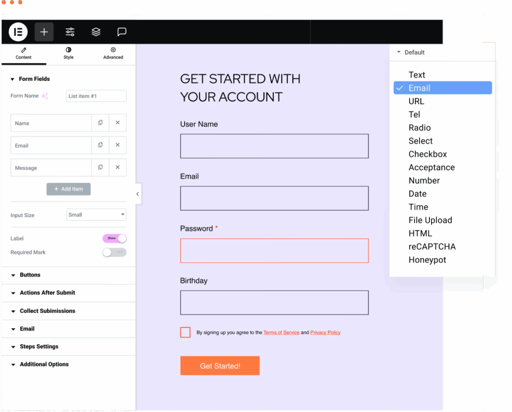 Edit Form Fields